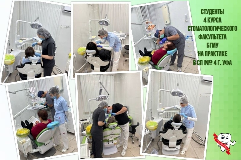 Студенты 4 курса стоматологического факультета БГМУ прошли в нашей поликлинике двухнедельную практику